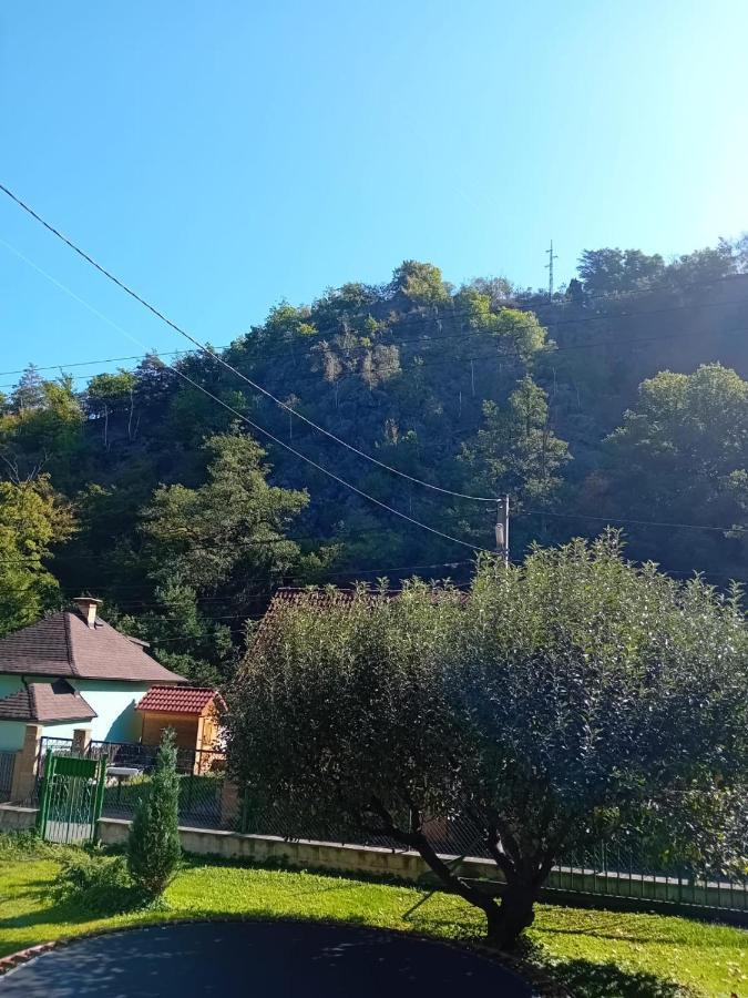 Rekreacni Chata Kocaba Stechowitz Kültér fotó