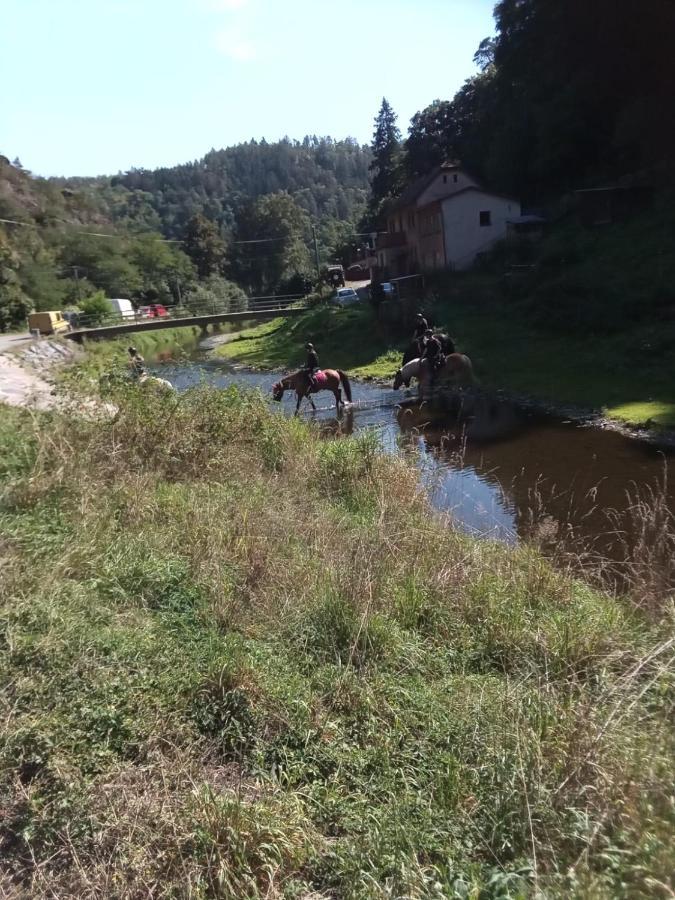 Rekreacni Chata Kocaba Stechowitz Kültér fotó