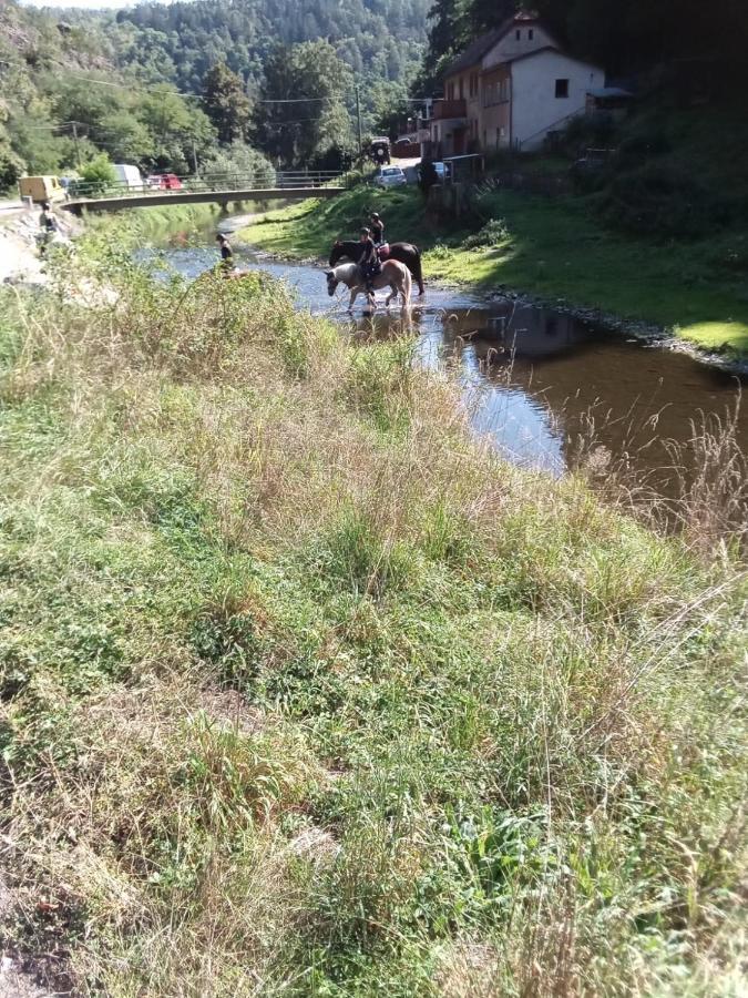 Rekreacni Chata Kocaba Stechowitz Kültér fotó