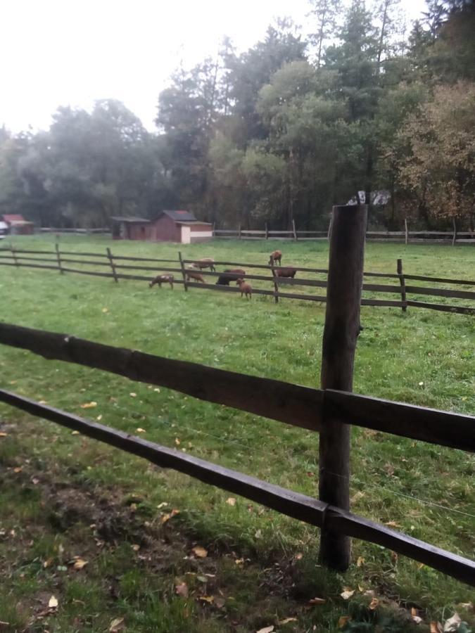 Rekreacni Chata Kocaba Stechowitz Kültér fotó